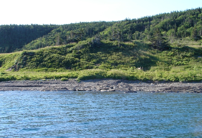 The northern ramp, recognisable as the break in slope to the centre left of the image, at <i>Champ Paya</i> (Feature 51, EfAx-09) ascends from the stage area on the shoreline to the escarpment terrace above where drying galets are found.